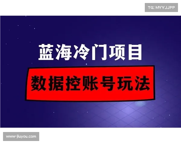 非对称竞争策略在本季度助推小众项目在蓝海市场实现招商突围